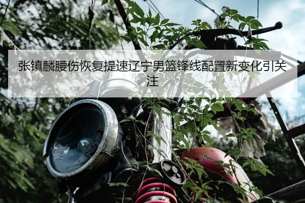 张镇麟腰伤恢复提速辽宁男篮锋线配置新变化引关注